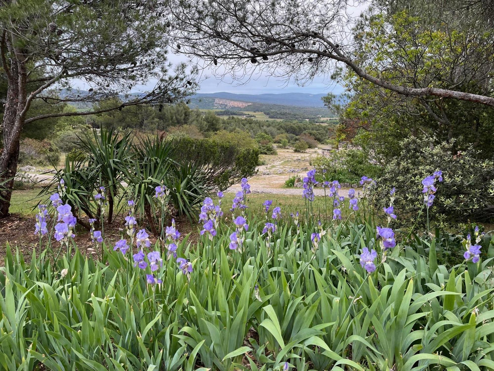 Lovely Views In Secret Provence Joucas Dış mekan fotoğraf