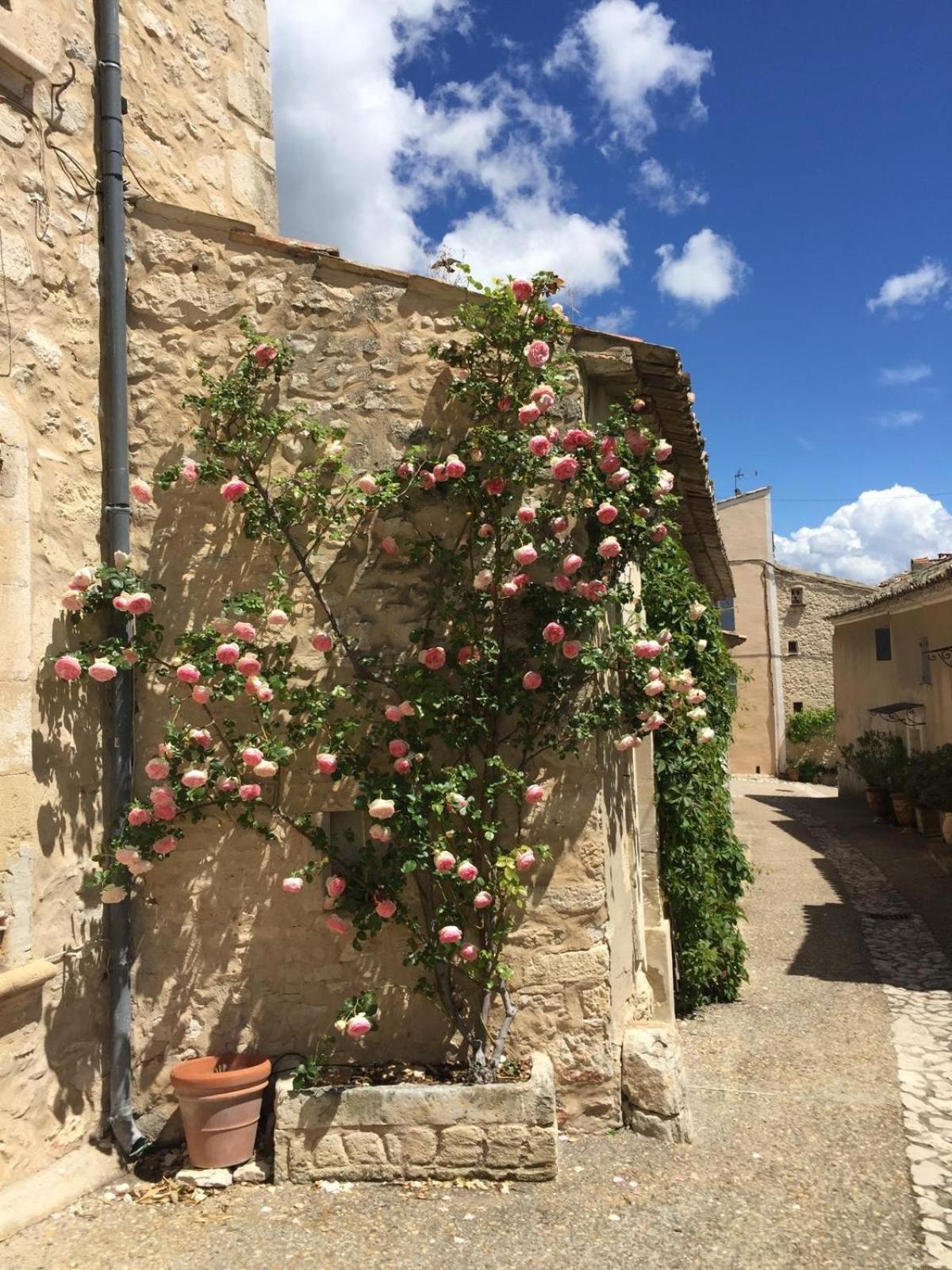 Lovely Views In Secret Provence Joucas Dış mekan fotoğraf